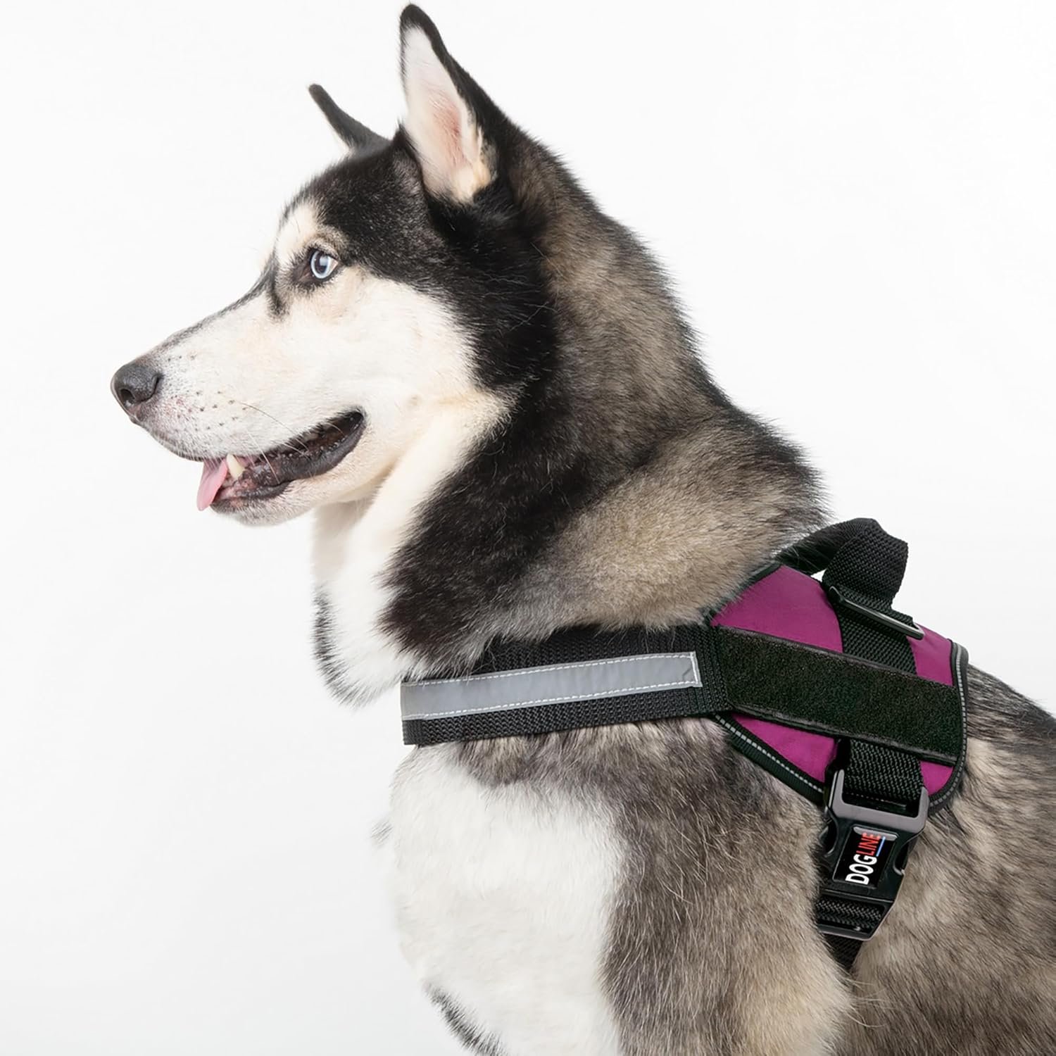 The Emotional Support Dog Harness That Redefines Comfort, Confidence, and Control